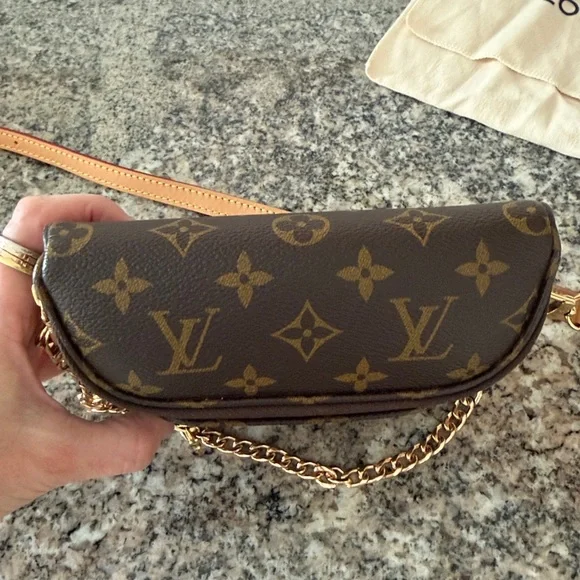 Louis Vuitton Mini Bum Bag - Picture 4 of 16